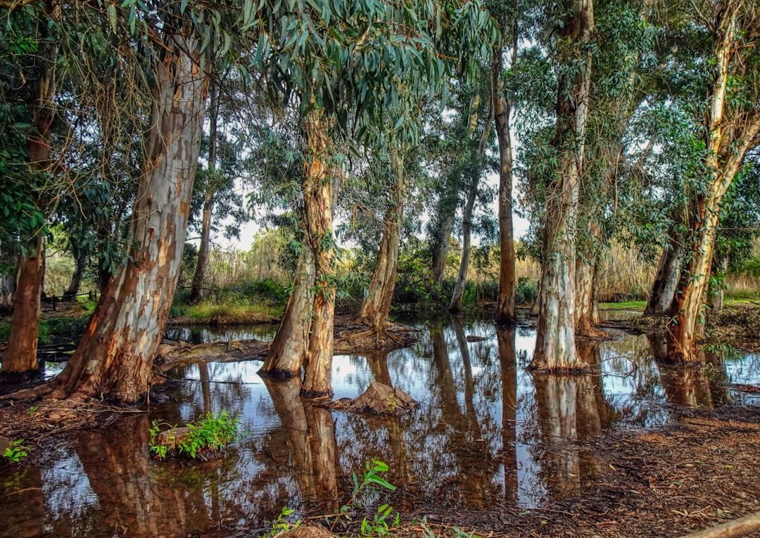 Photo biodiversity conservation