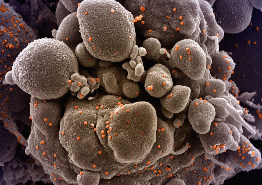 Photo nanomedicine